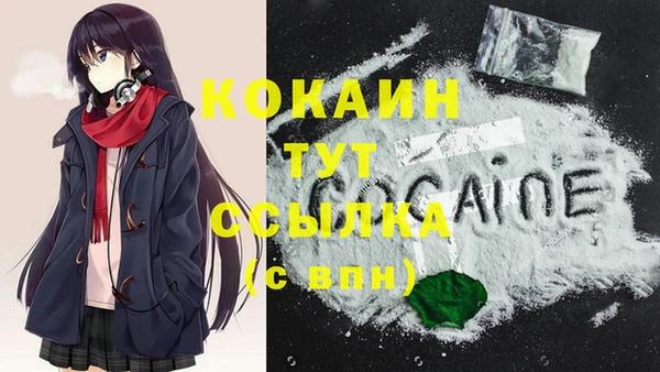 соль ск Липки