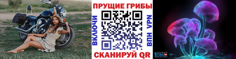 Галлюциногенные грибы Magic Shrooms Химки