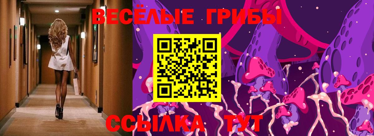 Как найти закладки?  Канабис  Cocaine  Альфа ПВП СК   НБОМе  ГАШИШ  Химки  Мефедрон кристаллы  Вход с VPN 