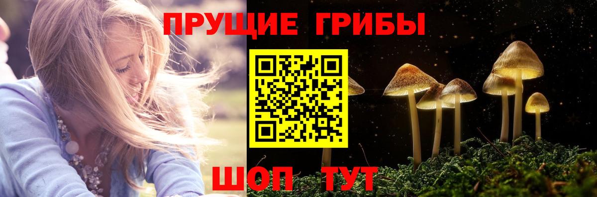 Химки  Галлюциногенные грибы мухоморы  Вход с VPN 
